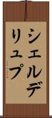 シェルデリュプ Scroll