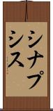 シナプシス Scroll