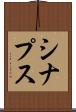 シナプス Scroll