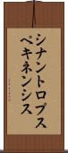 シナントロプスペキネンシス Scroll