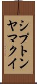 シプトンヤマクイ Scroll