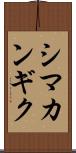 シマカンギク Scroll