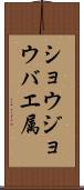 ショウジョウバエ属 Scroll