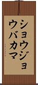 ショウジョウバカマ Scroll