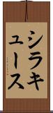 シラキュース Scroll