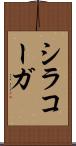 シラコーガ Scroll