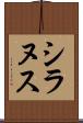 シラヌス Scroll