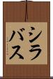 シラバス Scroll
