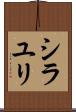 シラユリ Scroll