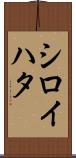 シロイハタ Scroll