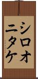 シロオニタケ Scroll