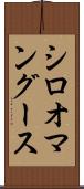 シロオマングース Scroll