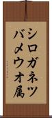 シロガネツバメウオ属 Scroll