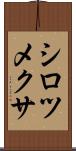 シロツメクサ Scroll