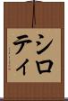 シロティ Scroll