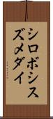 シロボシスズメダイ Scroll