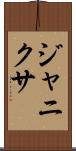 Janixa Scroll