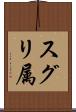 スグリ属 Scroll