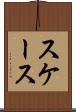スケース Scroll