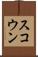 スコウン Scroll