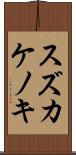 スズカケノキ Scroll