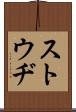 ストウヂ Scroll