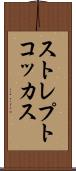 ストレプトコッカス Scroll