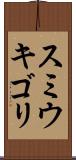 スミウキゴリ Scroll