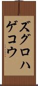 ズグロハゲコウ Scroll