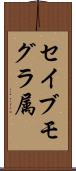 セイブモグラ属 Scroll