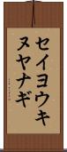 セイヨウキヌヤナギ Scroll