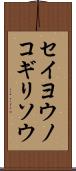 セイヨウノコギリソウ Scroll