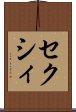 セクシィ Scroll