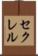 セクレル Scroll