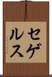 セゲルス Scroll