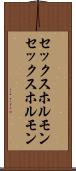 セックスホルモン Scroll