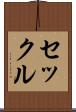 セックル Scroll