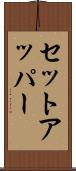 セット・アッパー Scroll
