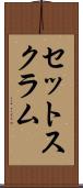セット・スクラム Scroll