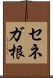 セネガ根 Scroll