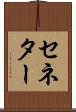 セネター Scroll