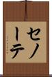 セノーテ Scroll