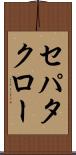 セパタクロー Scroll