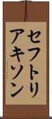 セフトリアキソン Scroll