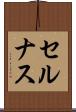 セルナス Scroll