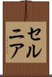 セルニア Scroll