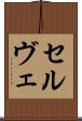 セルヴェ Scroll