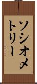 ソシオメトリー Scroll