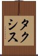タクシス Scroll