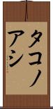 タコノアシ Scroll